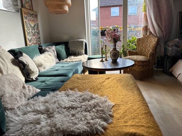 Living Room Interior featuring Green Velvet Sofa and Vintage Armchair